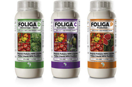 SAVANA_Packshots_FOLIGAD4